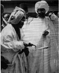 serigne fallou
