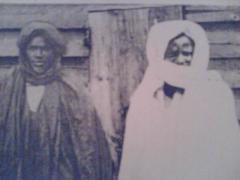 serigne bi 