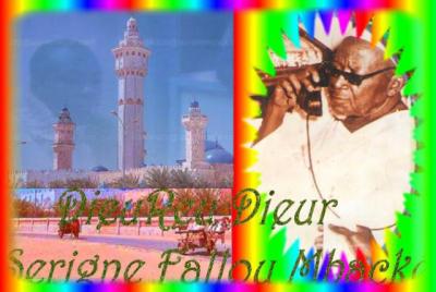 serigne a